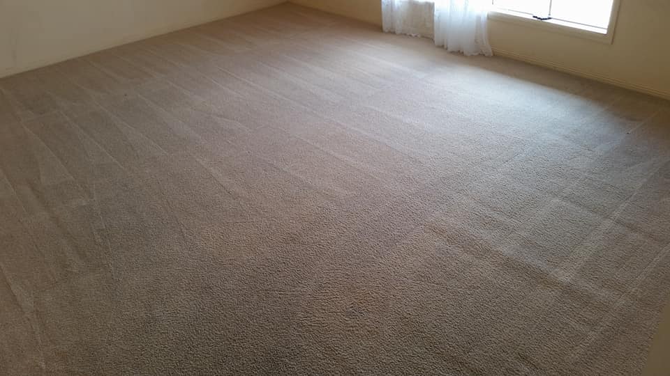 carpet cleaning
